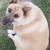 SeaLaVie